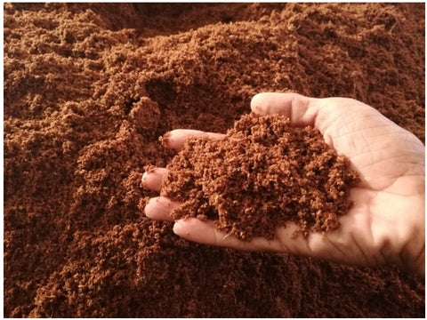 Một Số Kỹ Thuật Để Cây Ăn Trái Đạt Năng Suất Cao