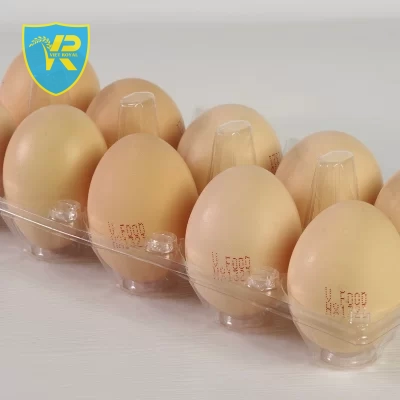 Sản phẩm Trứng gà